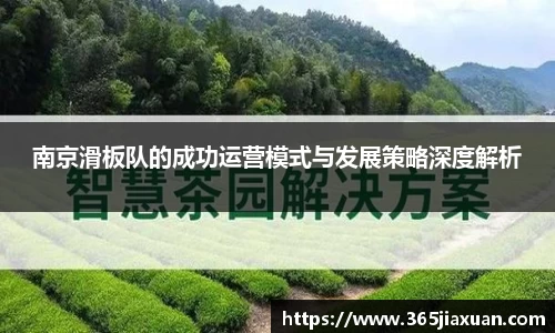 南京滑板队的成功运营模式与发展策略深度解析