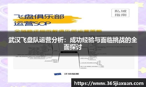 武汉飞盘队运营分析：成功经验与面临挑战的全面探讨