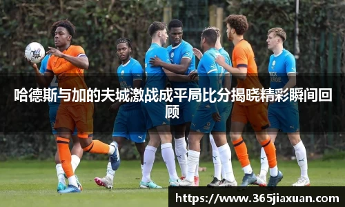 哈德斯与加的夫城激战成平局比分揭晓精彩瞬间回顾